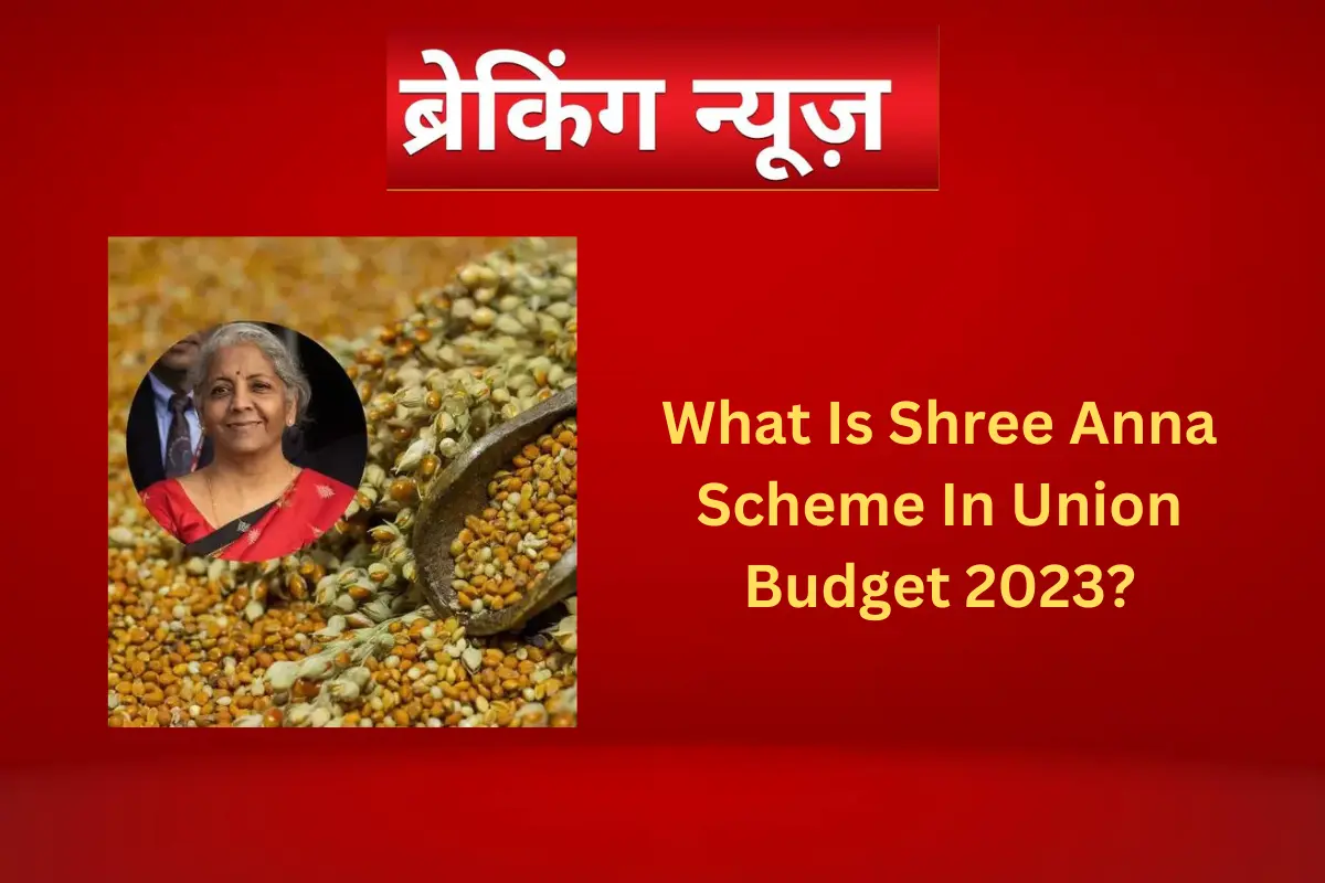 What Is Shree Anna Scheme In Union Budget 2023